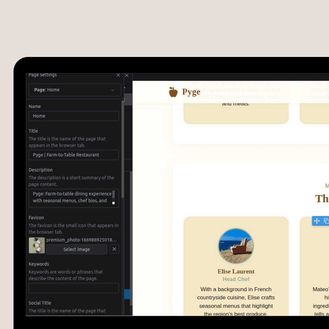 SEO tools and analytics dashboard